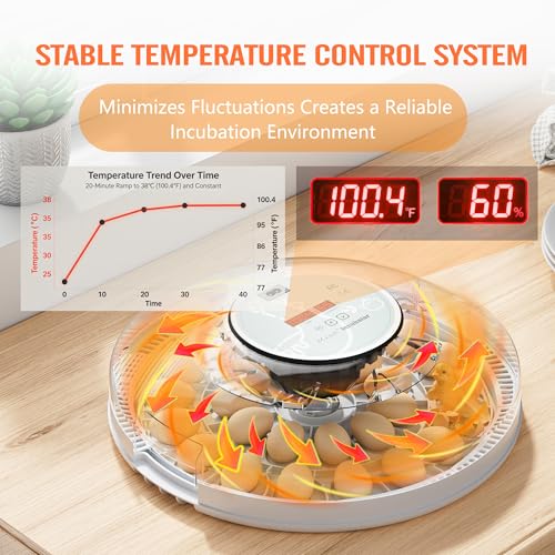 MeeF Egg Incubator for Hatching 28 Eggs, Auto Flip, Independent Atomizing Humidifier, with Duck and Goose Egg Trays (Green)