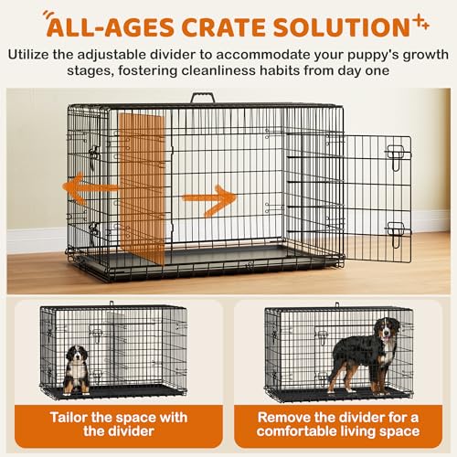 Yaheetech 48in Double Door Metal Dog Crate w/Divider for Puppy Indoor Use | Heavy-duty Sturdy Metal Frame, Easy Assemble, Fold Up for Travel, Removable Tray, Ideal for Puppies, Medium to Large Dogs - size: 48" L