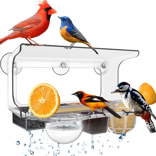 LUJII 6-in-1 Window Bird Feeder with Strongest Suction Cups, All-in-one Feeder for Bird Seed, Suet Ball, Mealworm, Oriole Orange Fruit, Jam or Water, 2 Removable Trays for Easy Cleaning, Clear - color: Clear, size: L