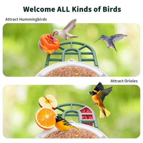 Smart Bird Feeder with Camera - AI Identify Birds Species, Solar Powered Bird House with Cam, 2L Large Capacity, 2K HD Video Live Stream, Instant Arrival Alerts - Green - color: Green