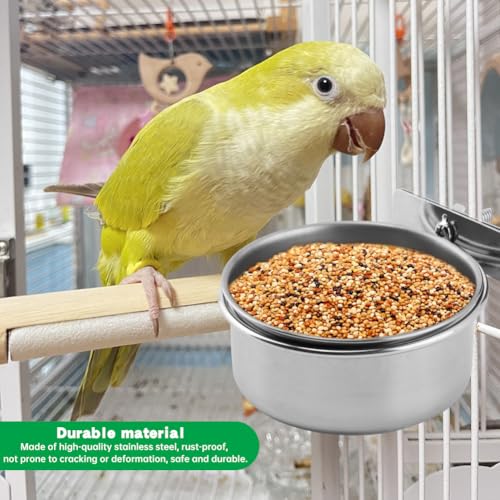 2Pcs Stainless Steel Bird Feeding Bowls with Feeding Spoon,Parrot Food Bowl Cage with Clamp Holder, Parrot Cage Water Feeder,for Cockatiel Parrot Macaw Small Animal Chinchilla