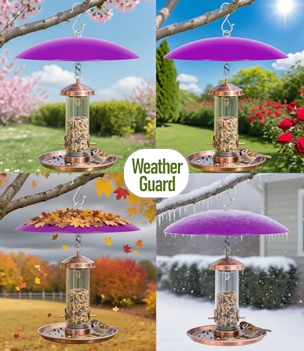13" Bird Feeder Rain Cover,Bird Feeder Dome,Hummingbird Feeder Guard, Proof Bird Feeders Baffle,Smart Birds Feeder's Umbrella (Purple),2Pack - color: Purple, size: 13Inch / 2 Packs