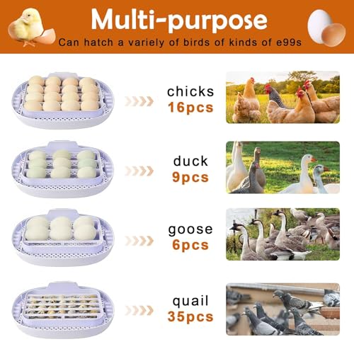 16 Egg Incubator with Automatic Egg Turning and Humidity Control,360 Degree View with Clear Window, Incubators for Hatching Eggs, Chicken, Ducks, Goose, Pigeon, Quail, Parrot - size: 16 Eggs