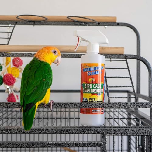 Absolutely Clean Amazing Bird Cage Cleaner and Deodorizer - Just Spray/Wipe - Safely & Easily Removes Bird Messes Quickly and Easily - Made in The US - Fragrance Free - (16oz Pack of 6) - style: 16 Fl Oz (Pack of 6)