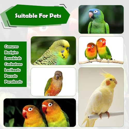 DQITJ 6 Pcs Bird Parrot Chew Toy Sola Balls Natural Soft Chew Shredding Parrot Foraging Toy Foot Ball for Cockatiel Conure Parakeet Bunny Guinea Pig