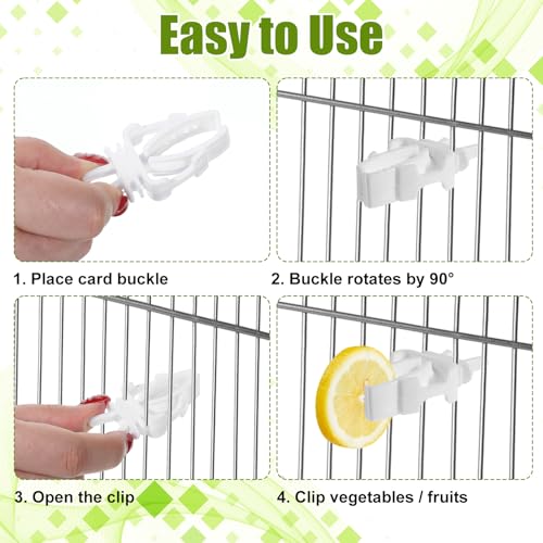 10PCS Bird Cage Food Holder, Plastic Parrot Fruit Vegetable Clips, Millet Holder for Bird Cage Parrot Food Feeder Clip for Budgie Parakeet Cockatoo Macaw Cockatiel Conure-White and Green