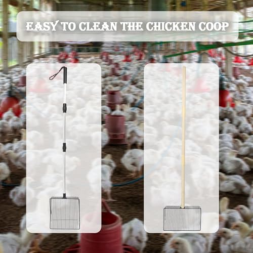 LUSTERING Chicken Poop Scooper, Chicken Coop Accessories, Detachable Chicken Poop Cleaning Tools,Chicken Accessories Poop Shovel for Chicken Coop Cleaning Supplies,(23 to 43.3inches) (Stainless Steel)