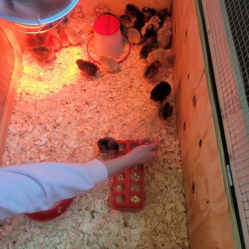 Ben's E-Z Brooder