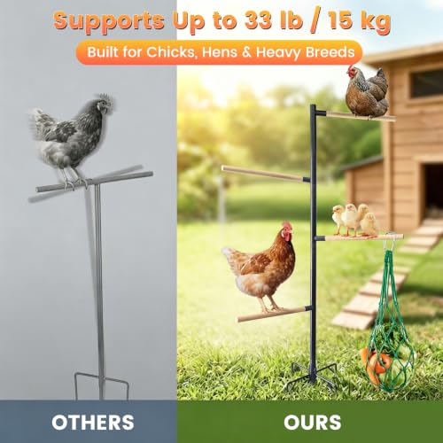 Chicken Perch Stand for Coop, 55 in Heavy Duty Poultry Roosting Stand with 5-Leg Ground Stake Base, 4 Wooden Perches, Outdoor Chicken Roost Stand for Hens & Chicks