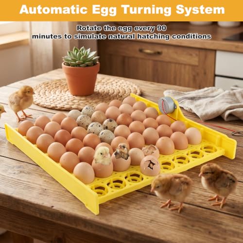 Premium Automatic Egg Incubator Hatcher with 56 Egg Capacity Automatic Egg Turner for Chickens Ducks and Pigeons Yellow Plastic 43 x 41.5 x 4.6 cm
