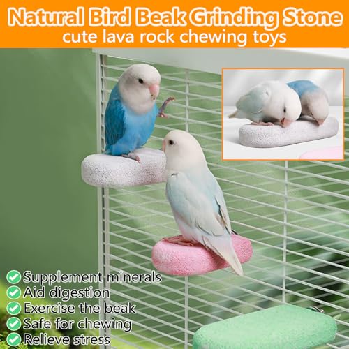 4PCS Bird Beak Grinding Stone,Parrot Perch Stands,Parakeets Platform Chewing Toys Calcium Pumice Lava Foot Claws Trimmer Climbing Ledge for Cockatiel Budgie Conures Lovebirds(Multi-Color) - color: 4Pack Colorful | S & L