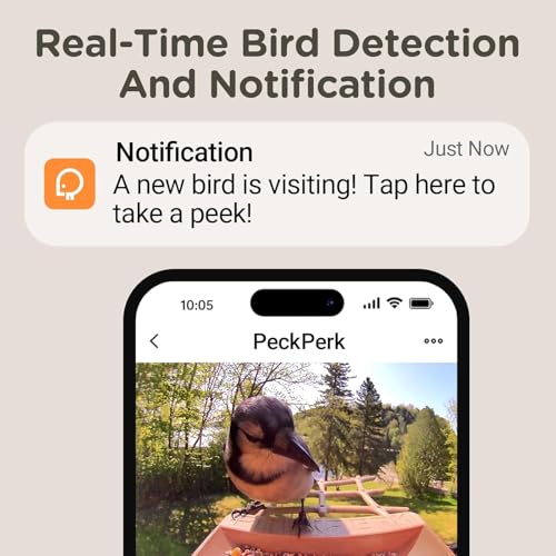 Bird Feeder with Camera Solar Powered, Smart Birds Feeder for Outside, AI Bird Identification Auto Capture Videos Pictures, 2K Live Feed Cam for Backyard, Ideal Gift for Birds Lover (Brown) - color: Brown