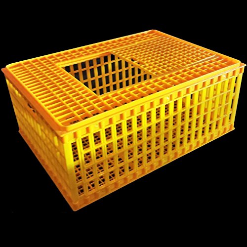 H.D. 29x21x12 Poultry Transport 4H Show CAGE COOP Basket Chicken Crate