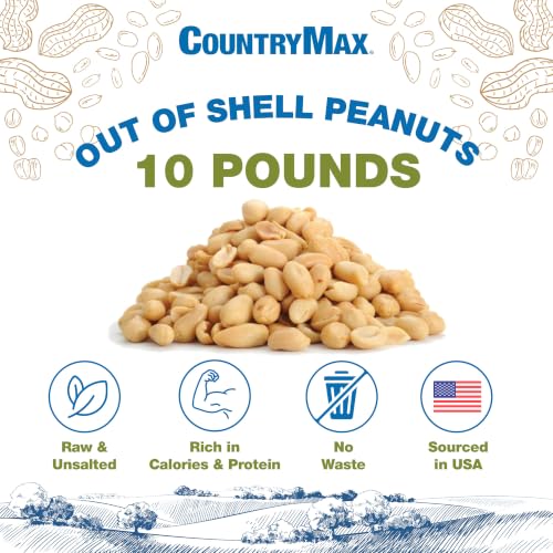 CountryMax Backyard Seeds Shelled Whole Peanuts for Woodpeckers, Birds, Squirrels & Wildlife – Premium Wild Animal Food, 10 lbs Bag - size: 10 Pound (Pack of 1), style: Shelled Peanut Pickouts