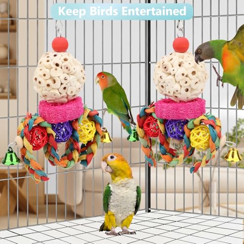 Wontee Bird Toys 3 Pack Parrot Foraging Hanging Toys Sola Ball Natural Nuts Chew Toys for Cockatiels Conures Parakeets Budgies Senegal (2 Pack-Colorful) - size: 2 Pack-colorful
