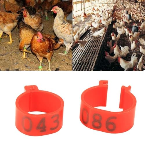 Maxmartt 100Pcs Chicken Leg Bands Numbered 1-100 Chicken Identification Band 16mm Poultry Goose Ducks Leg Bands Plastic Chicken Bands Tags Poultry Rings (Red)