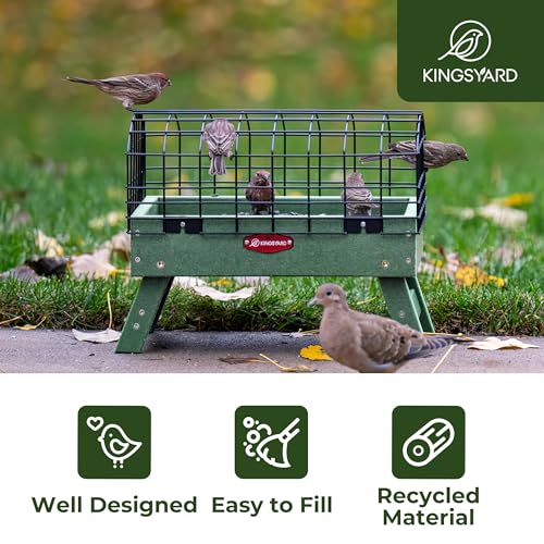 Kingsyard Squirrel Proof Caged Platform Bird Feeder for Small Birds | Recycled Poly Lumber, Protective Metal Cage, Raised Platform, Drainage Mesh Tray, Foldable Legs for Outdoor Bird Feeding - color: Green
