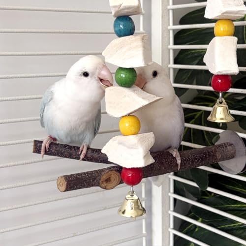 2 PCS Cuttlebone Bird Toys, Parakeet Beak Grinding Stone, Cuttlefish Bone for Small Birds Conures, Budgies, Cockatiels, Lovebirds, Green Cheeks, Cage Accessories for Parakeet