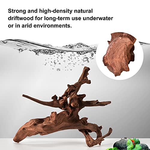 majoywoo Natural Small Driftwood for Aquarium Decor Fish Tank Decorations | Natural Driftwood for Aquascaping and Reptile Decor, With Unique Natural Shapes, Assorted Driftwood Branch 4.5-7.5" 5 Pcs - size: Mopani Driftwood 4.5 to 7.5 Inch (Pack of 5)