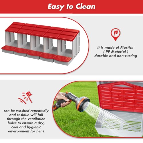 5 Hole Chicken Nesting Box with Rolling Egg Collection Design | Rolling Egg Collection & Protection Nesting Boxes, Avoid Broken Eggs, Ideal for Coops, Backyard & Family Chicken Raising ﻿ - size: 5 Compartment