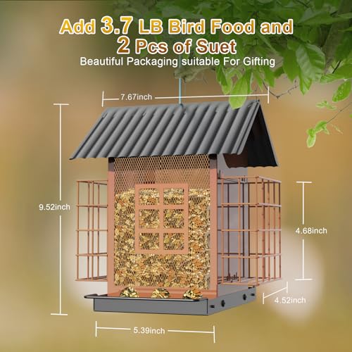 FlowaFoli Bird Feeders for Outdoors Hanging, Metal Bird Feeder with Double Suet Cage Cake, Large Capacity, Birdfeeders Sturdy & Weatherproof, Easy to Clean & Refill, Great for Attracting Wild Birds - color: Brown