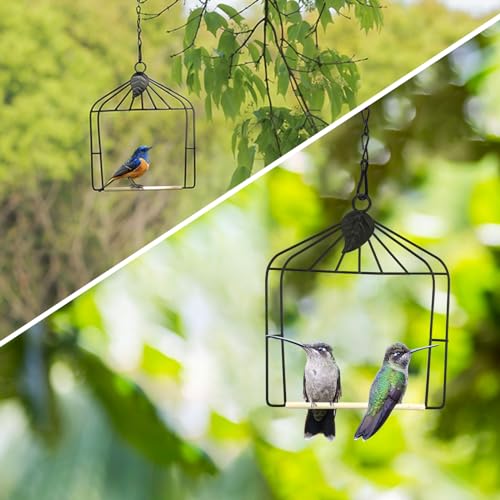 Hummingbird Feeders Bird Swing Metal Frame for Finch Hummingbird Perch Wild Bird Swing with Wooden Dowel Outdoor Bird Perch Rust Resistant 2 Pack - size: 2PK