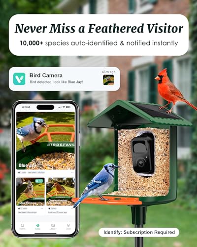 Bird Feeder with Camera Solar Powered 2K Video with 32GB Card Auto Capture | Instant App Alert, AI Identify, Easy Refill, 1.8L Capacity, IP65 Weatherproof, Pole/Bracket Mount, 3 DIY Add-ons, 2.4G Wifi - color: Green