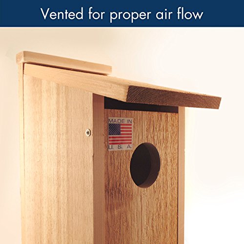 Woodlink OWL/Kestrel Screech House, 20"H