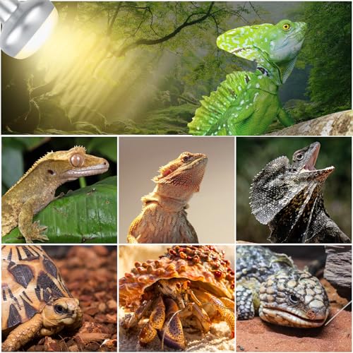 Reptile Dual Lamp Fixture Heat Lamp Bulb Combo Pack,100W UVA Daylight Reptile Heat Lamp and 100W Infrared Reptiles Heat Blub Basking Spot - style: DRL01ST3