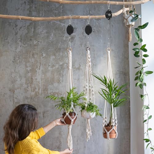 Plant Pulleys, Heavy Duty Retractable Hangers, 304 Stainless Steel Rope, Auto Plant Holder, Adjustable Climbing Hook for Garden Baskets, Watering, or Bird Feeders 2PC (Black) - color: Black