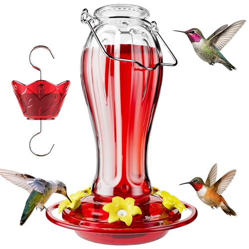 Birdream Glass Hummingbird Feeders, 18oz Large Capacity, Clear | 5 Feeding Ports, Built-in Ant Moat, For Outdoors Hanging, Decorative for Garden Patio Backyard - color: Clear