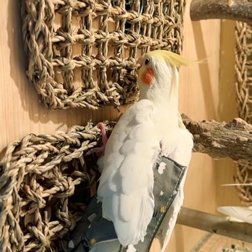 2 PCS 7 x 7 Inches Seagrass Mat, Natural Seagrass Woven Bird Net Hammock Mat, Cage Accessories, Climbing Rope Ladder Chew Toys for Parrots, Cockatoos, Lovebirds, Cockatiels, Budgies, Parakeets - size: 7 x 7 Inch