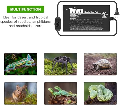 iPower 4 by 7 Inch Reptile Heating Pad with Temperature Adjustable Controller Knob, Under Tank Warmer Terrarium Heat Mat for Reptiles and Amphibians - size: 4 X 7 Inch, style: Heat Pad with Adjust Knob