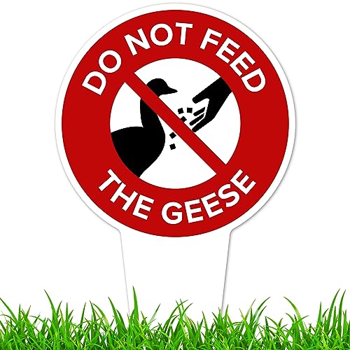 Please Do Not Feed the Geese Sign, 7"x13", Heavy Duty Integrated Ground Stakes, Indoor/Outdoor Use, Rust Free Aluminum Composite, Made in USA by My Sign center - color: Geese, size: 7"x13"