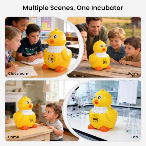 Incubators for Hatching Eggs, Small Egg Incubator with Temperature Control, Air Circulation & Viewing Window, 6 Eggs Poultry Hatcher for Chicken Duck Quail Pigeon Pheasant, Ideal for Home Lab Kids