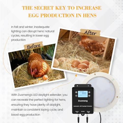 Automatic LED Daylight Extender, Zuomeng Chicken Coop Light with Intelligent Programmable Timer, IP65 Waterproof, 14–16H Light Boost for Hens, Enhances Egg Production