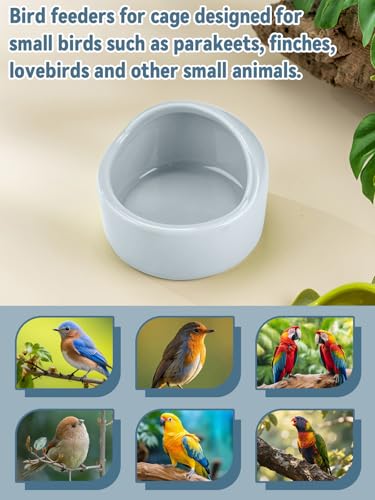 2 Pcs Bird Food Bowl Ceramic Bowls for Birds Small Parakeet Food Bowl Parrot Feeding Cups, Bird Cage Feede for Parakeets Conure Cockatiels Lovebird Budgie (Blue) - color: Blue