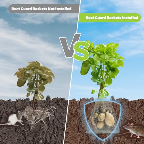 8 Pcs Gopher Baskets 10 Gallon Root Guard Proof Stainless Wire Steel Trap | 18" X 20" Mesh Cage with Gloves Root Protection for Gophers Moles Voles, Bulbs Tubers Trees Orchid Flowers Planting Baskets - size: 20"X18"-8 Pack