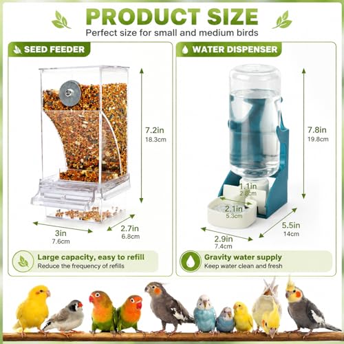 Rypet No-Mess Bird Feeder and Water Dispenser Set for Small Birds | Automatic Bird Feeder, Transparent Acrylic Food Container, Helps Reduce Seed Scatter, for Parakeet Cockatiel Parrot Canary - color: Feeder + Drinking Bottle