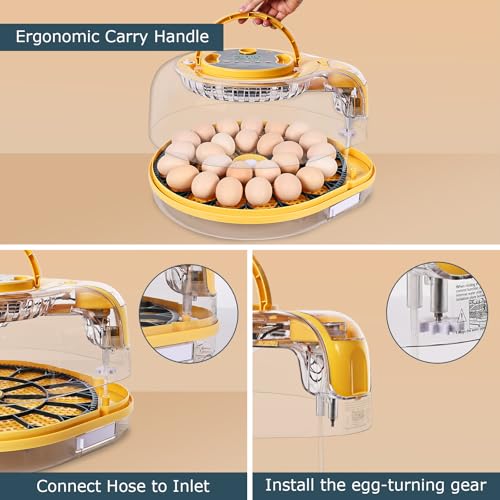 Egg Incubator, 26 Chicken/59 Quail Eggs Incubators for Hatching Eggs with Temp & Humidity Control, Auto Egg Turner, Adjustable Hatch Day & Air Vent, Egg Candler, Auto Water Refill, 360° Clear View - size: 26 Eggs