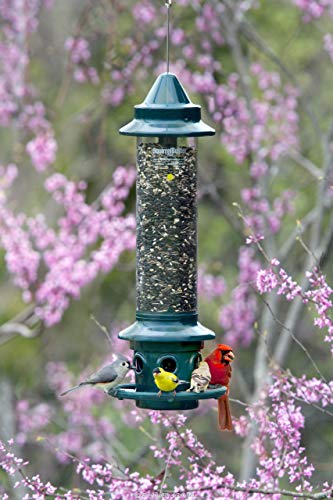 Squirrel Buster Plus Squirrel-proof Bird Feeder w/Cardinal Ring and 6 Feeding Ports, 5.1-pound Seed Capacity, Adjustable, Pole-mountable (POLE ADAPTOR SOLD SEPARATELY), Green | Cardinal ring, six ports, weight adjustment, pole-mountable, adapter sold sepa