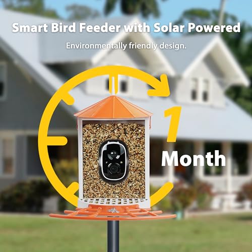 Smart Bird Feeder with Camera Solar, Auto Capture Bird Videos & Motion Detection, Birds Watching Camera Notify in Time, Metal Birds Feeder with Seed Guard, Ideal Present for Mom (Orange) - color: Orange