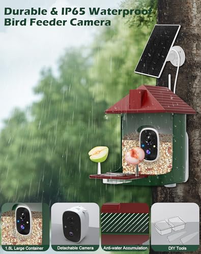 Smart Bird Feeder with Camera,5200mAh Battery with Solar Panel, 4K Native Resolution Live View, AI Species Identification, Auto Capture & Instant Arrival Alert, Ideal Gift for Bird Lovers (Red Green) - color: Green