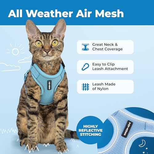 Voyager Escape-Proof Step-in Lock Cat Harness & 5ft Neoprene-Handle Leash Set All-Weather Mesh with Reflective Stitching for Small to Large Cats by Best Pet Supplies, Baby Blue (327), XS - color: Baby Blue (327), size: XS (Chest: 13 - 16")