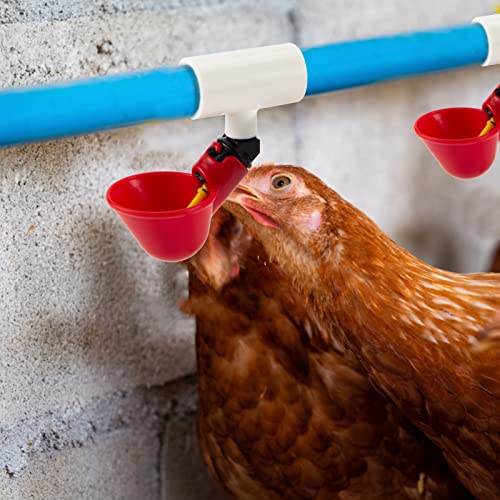 20 Pcs Chicken Waterer PVC Pipe Tee Fittings for Large Chicken Coop | Fully Automatic for Threaded Chicken Waterer Nipples/Cups/Feeders/Poultry Water Drinker, Chicken Coop Accessories, White