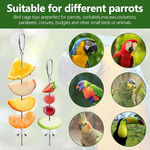 LELE LIFE 5Pcs Bird Cage Food Holder, Hanging Parrot Fruit Vegetable Skewer, Stainless Steel Bird Foraging Toys Bird Cage Feeder for Parakeet Budgie Bird Cage Accessories