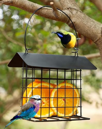 Double Suet Bird All-Metal Divided Feeder Weather-Resistant Solid Roof Top Squirrel Proof for Outdoors Hanging Suet Cake Cage Holder Perch for Outside Garden Yard - style: Double Suet With Roof Top
