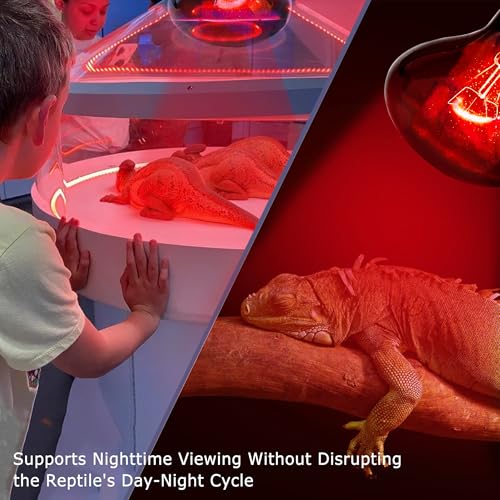 60W Infrared Red Reptile Heat Lamp Bulb, Basking Spot Light | Red Heat Emitter, Provides Gentle Heating for Reptiles, Bearded Dragons, Lizards, Snakes & Terrariums, E26 Base, 2-Pack - color: Red-infrared Heat Lamp, size: 60 Watts