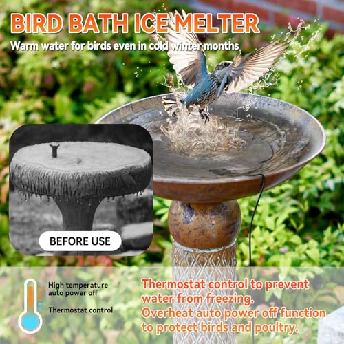 2-Pack 250W Bird Bath Heater for Outdoor Winter Use – Thermostatically Controlled De-Icer for Birdbaths, Ponds & Livestock Water, Keeps Water Ice-Free for Birds, Chickens & Small Animals