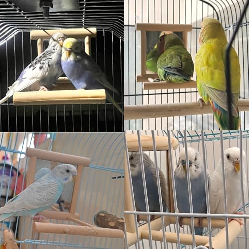 Bird Mirror Parakeet Mirror Perch Stand Wooden Swing Mirror Toy Cage Accessories for Cockatiel Parakeet Budgie Lovebird Small Parrots - size: 1 Pcs